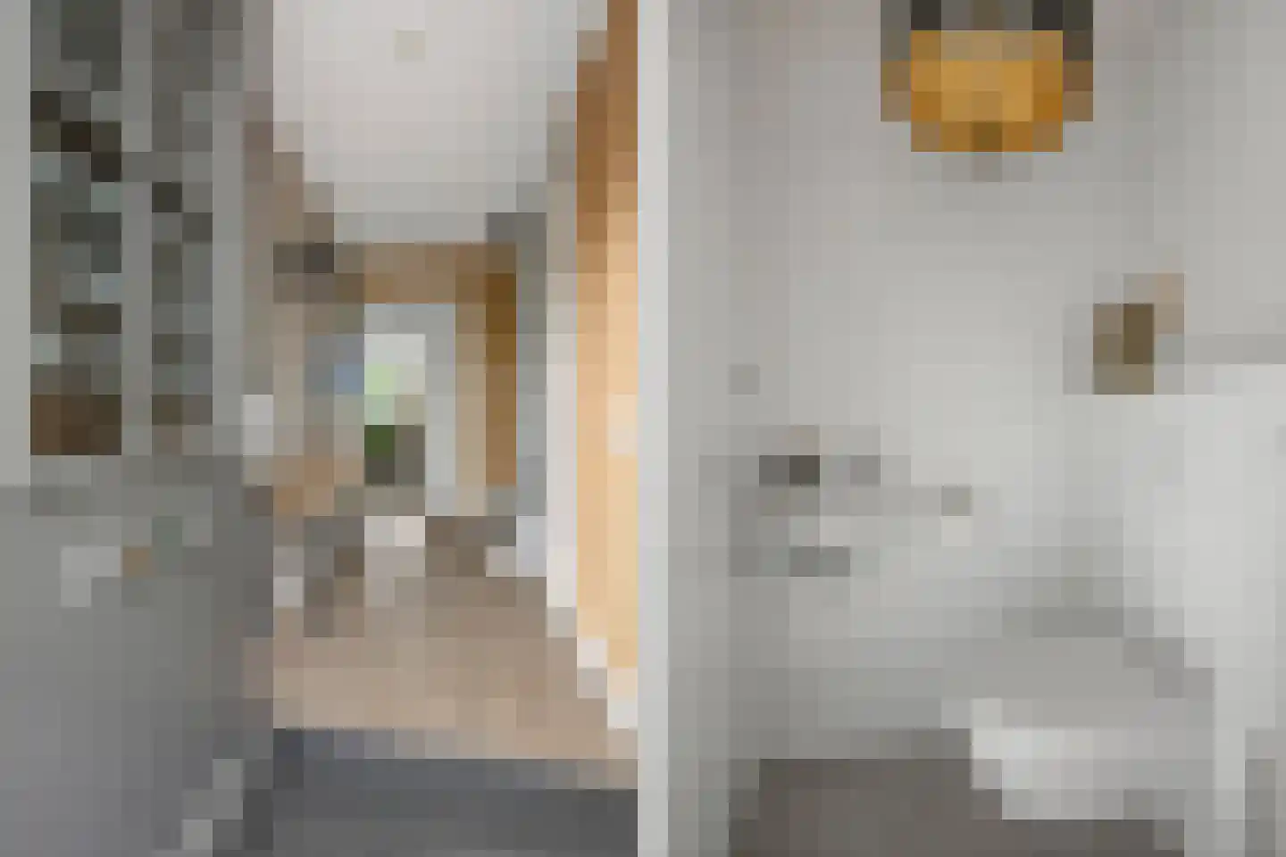 Otto van Asperenstraat 22 Hoef en Haag thumbnail 9