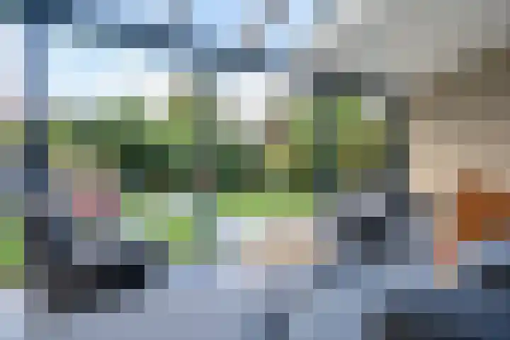Otto van der Leckstraat 4 Hedel thumbnail 11