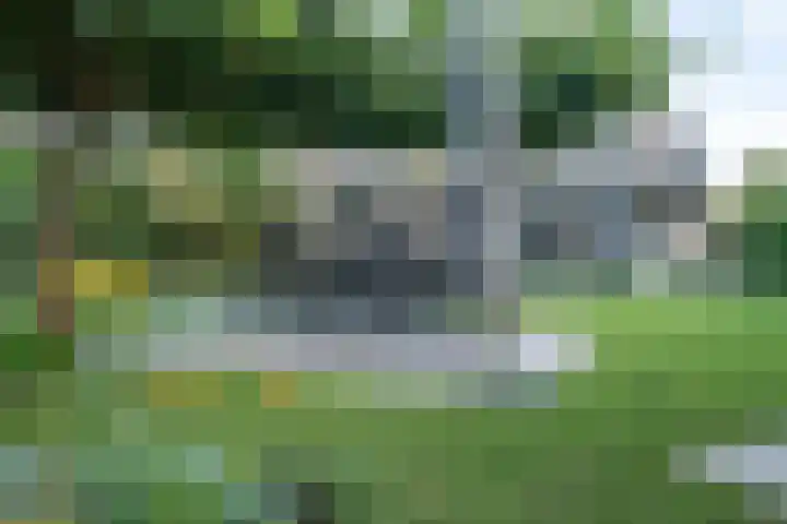 Otto van der Leckstraat 4 Hedel thumbnail 13