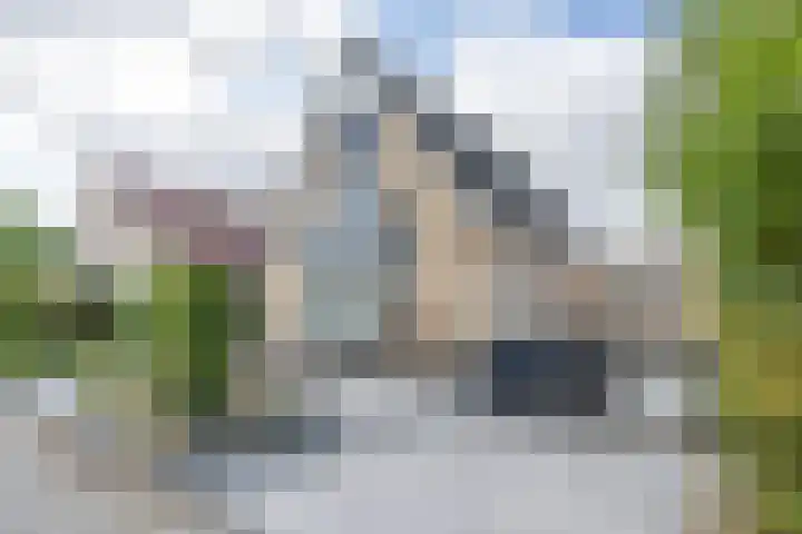 Otto van der Leckstraat 4 Hedel thumbnail 16