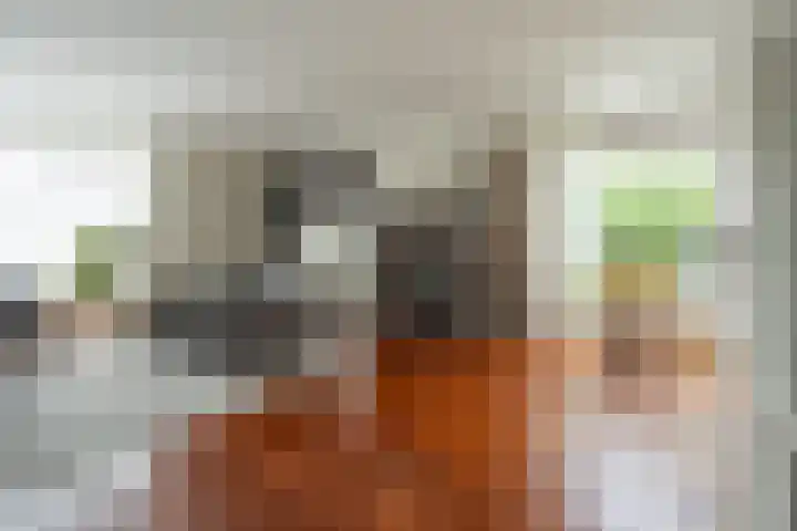 Otto van der Leckstraat 4 Hedel thumbnail 20