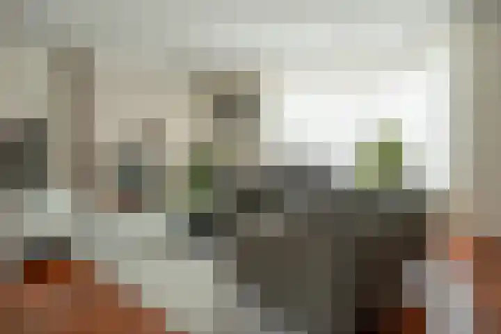 Otto van der Leckstraat 4 Hedel thumbnail 21