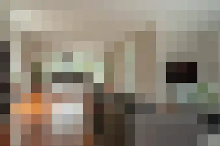 Otto van der Leckstraat 4 Hedel thumbnail 23
