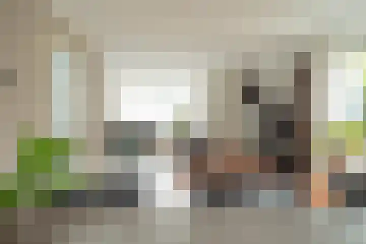 Otto van der Leckstraat 4 Hedel thumbnail 29