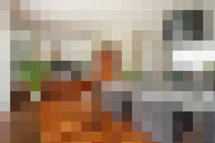 Otto van der Leckstraat 4 Hedel thumbnail 30