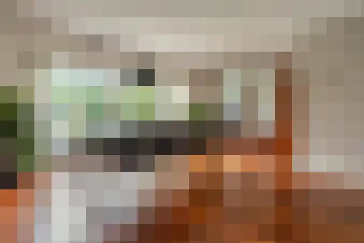 Otto van der Leckstraat 4 Hedel thumbnail 31