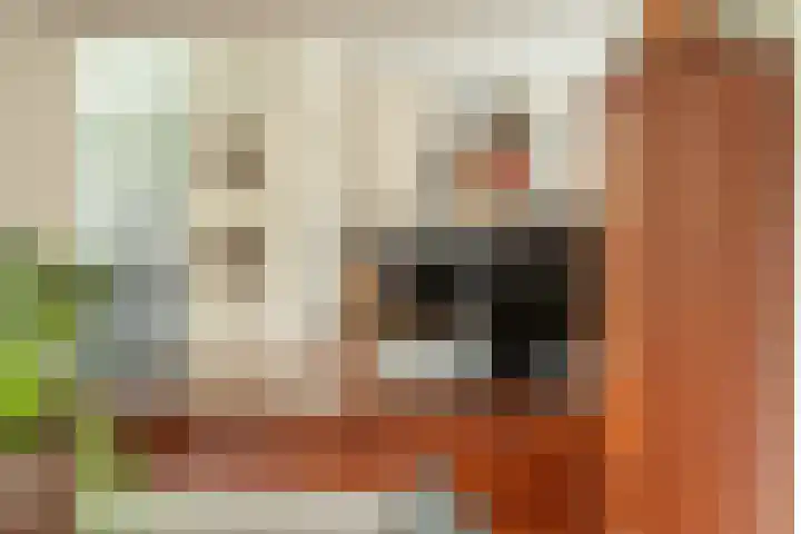 Otto van der Leckstraat 4 Hedel thumbnail 33