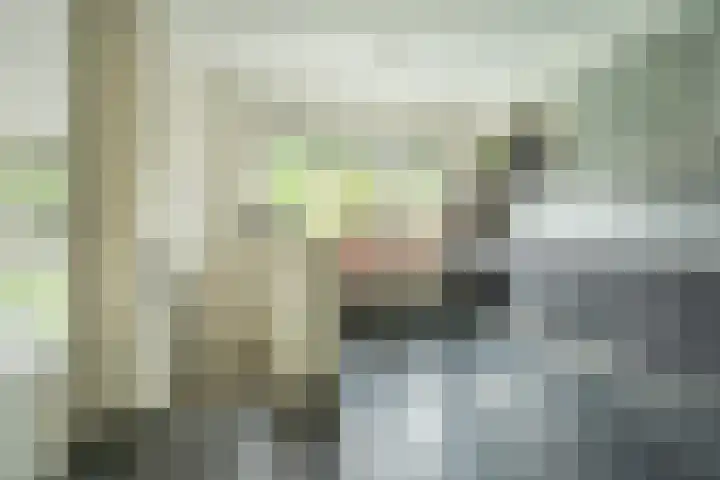 Otto van der Leckstraat 4 Hedel thumbnail 37