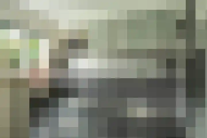 Otto van der Leckstraat 4 Hedel thumbnail 38