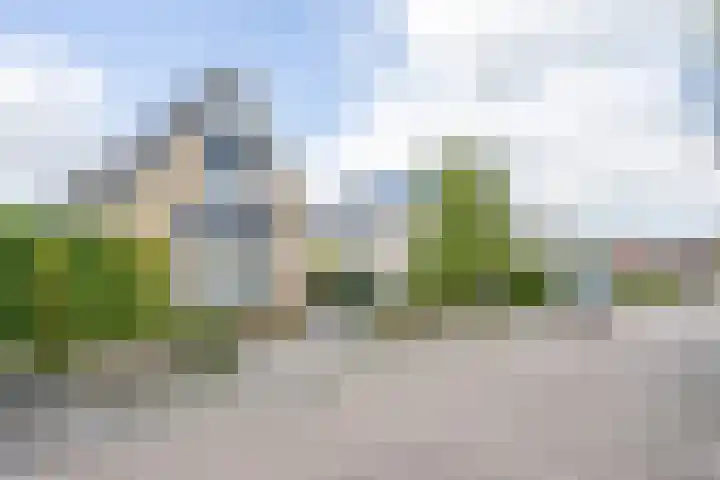 Otto van der Leckstraat 4 Hedel thumbnail 4