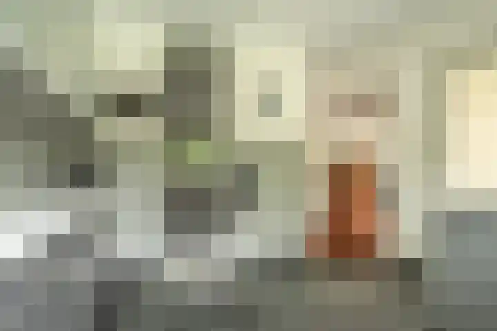 Otto van der Leckstraat 4 Hedel thumbnail 40
