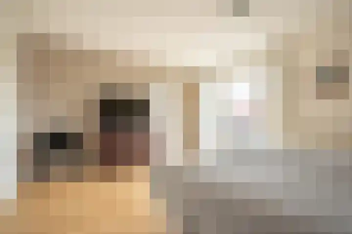 Otto van der Leckstraat 4 Hedel thumbnail 47
