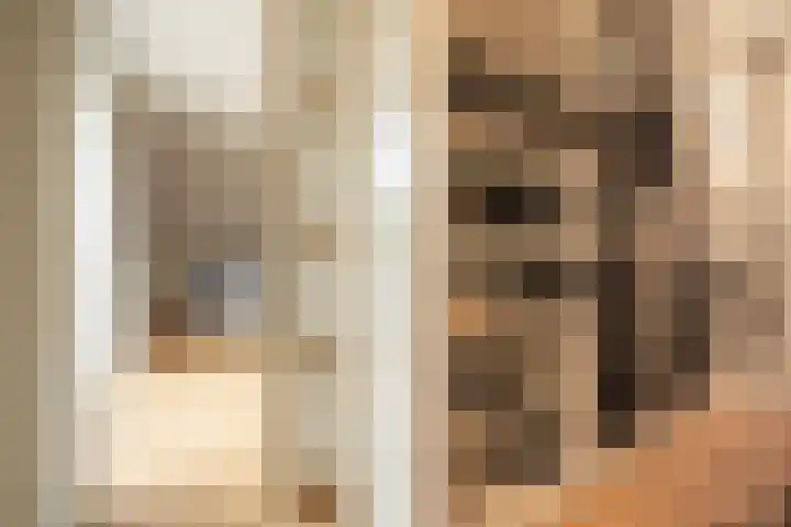 Otto van der Leckstraat 4 Hedel thumbnail 48