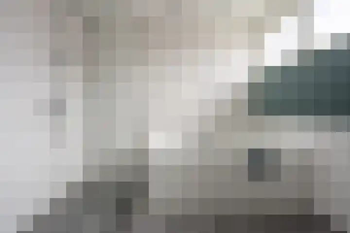 Otto van der Leckstraat 4 Hedel thumbnail 50