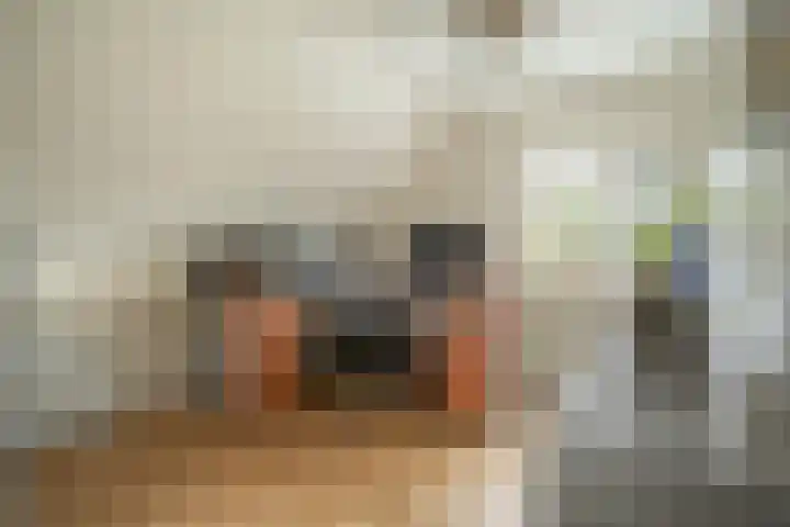 Otto van der Leckstraat 4 Hedel thumbnail 54