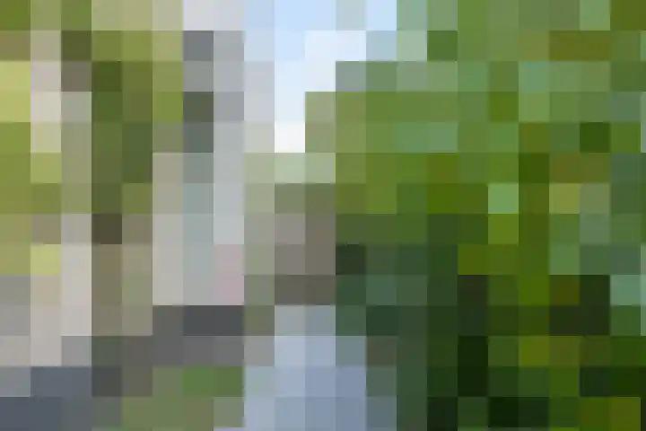 Otto van der Leckstraat 4 Hedel thumbnail 6