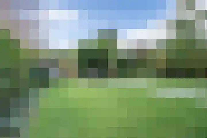Otto van der Leckstraat 4 Hedel thumbnail 8