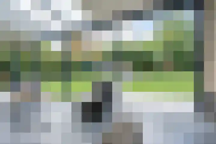 Otto van der Leckstraat 4 Hedel thumbnail 9