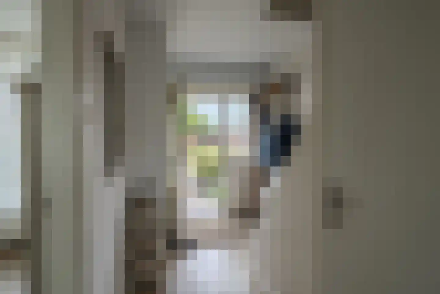 Otto van Polanenstraat 34 Asperen thumbnail 10