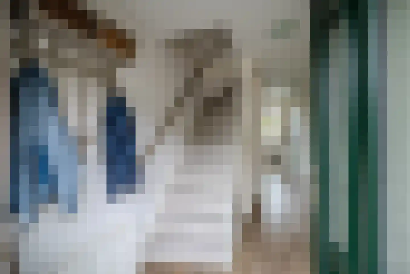 Otto van Polanenstraat 34 Asperen thumbnail 11
