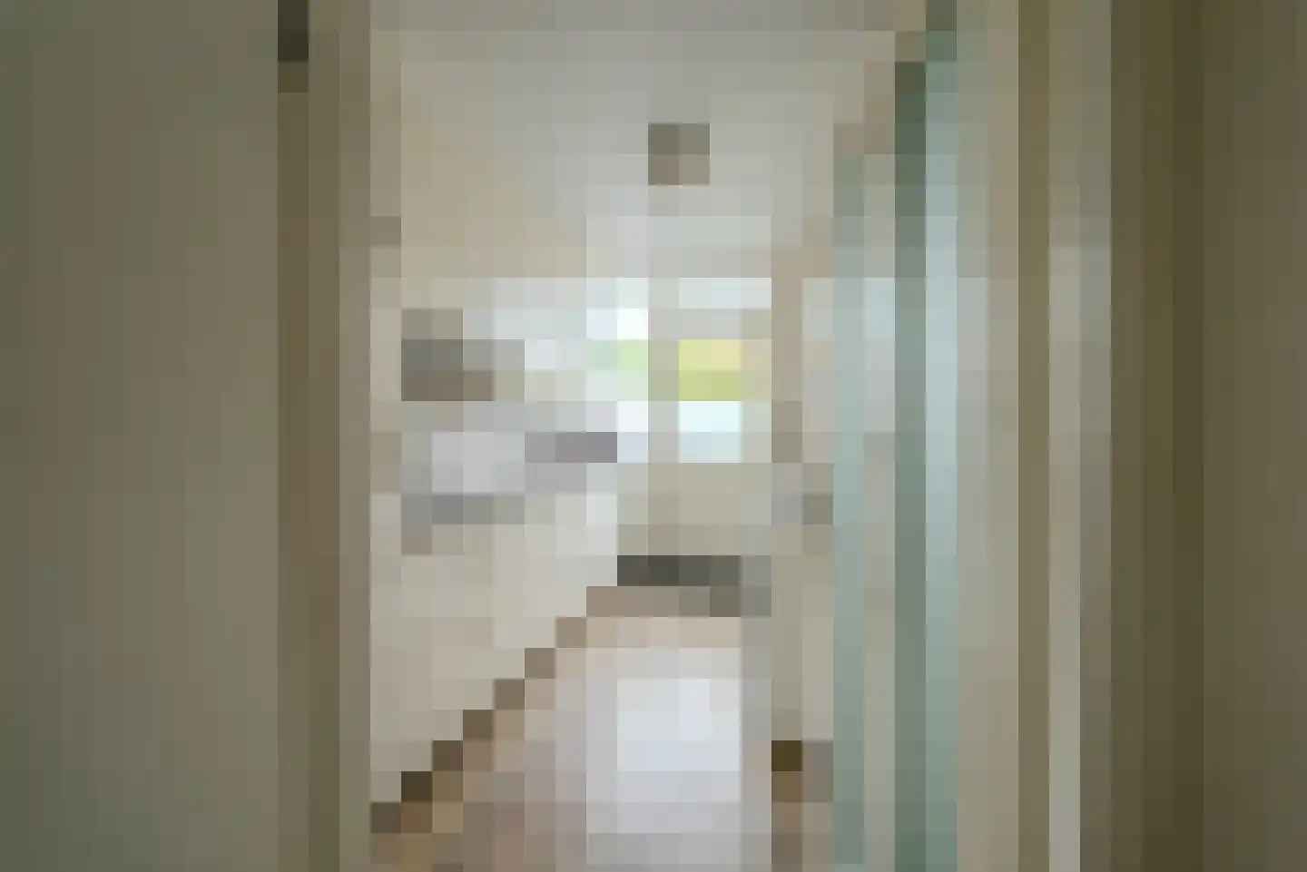 Otto van Polanenstraat 34 Asperen thumbnail 18