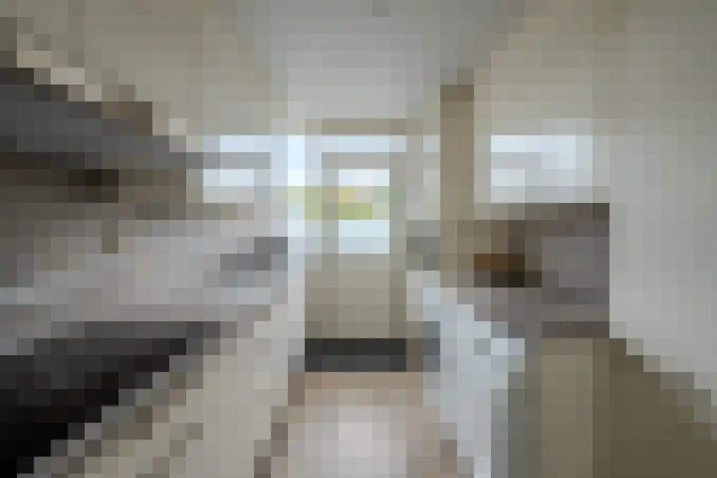 Otto van Polanenstraat 34 Asperen thumbnail 19
