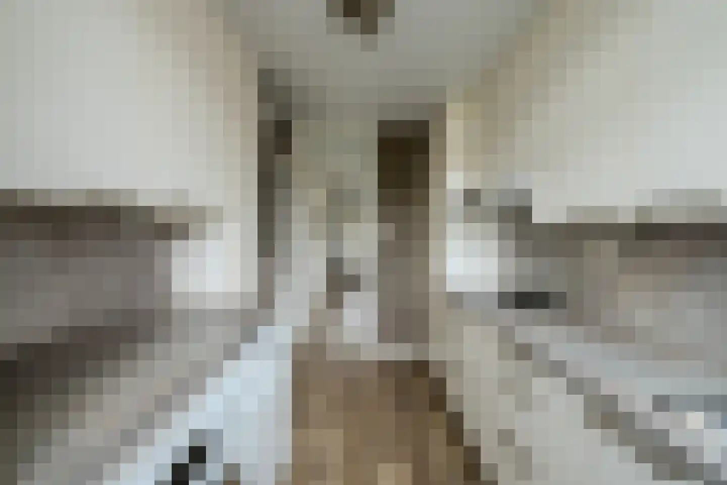 Otto van Polanenstraat 34 Asperen thumbnail 20