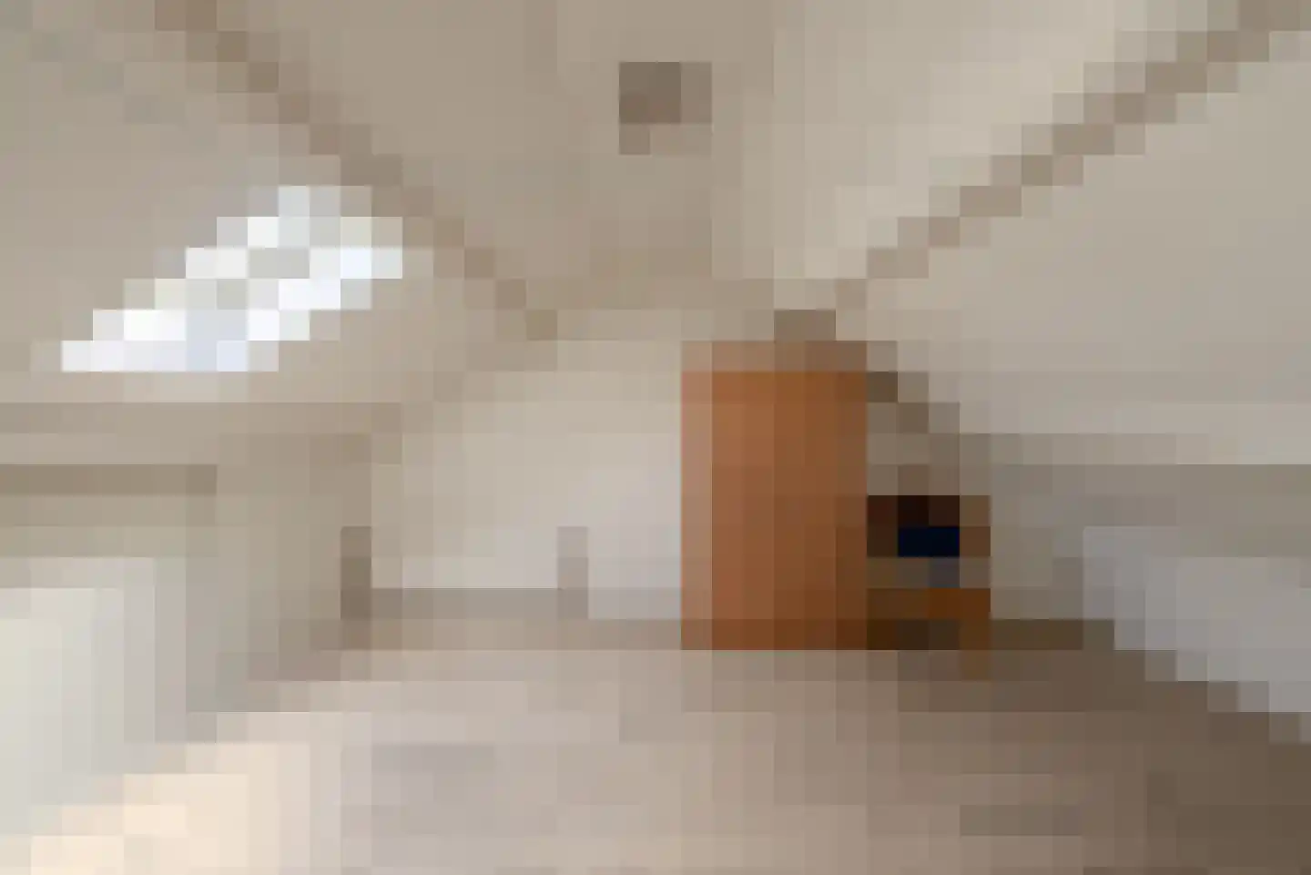 Otto van Polanenstraat 34 Asperen thumbnail 45