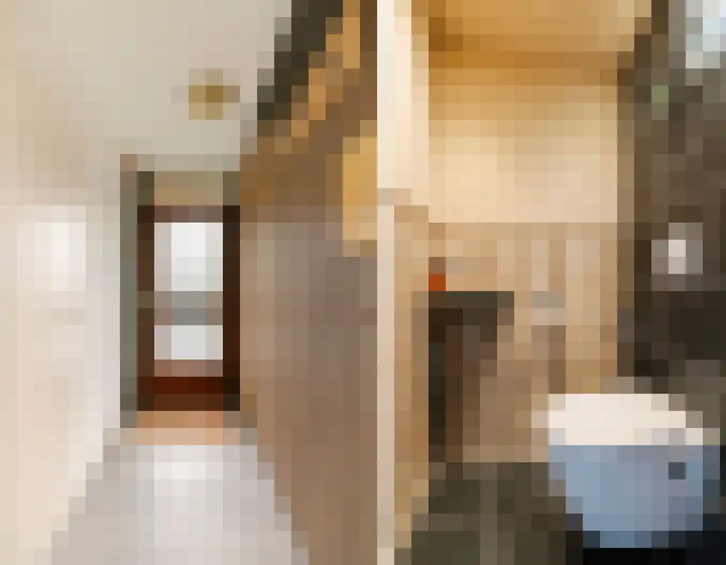 Otto van Reeslaan 10 Haarlem thumbnail 14