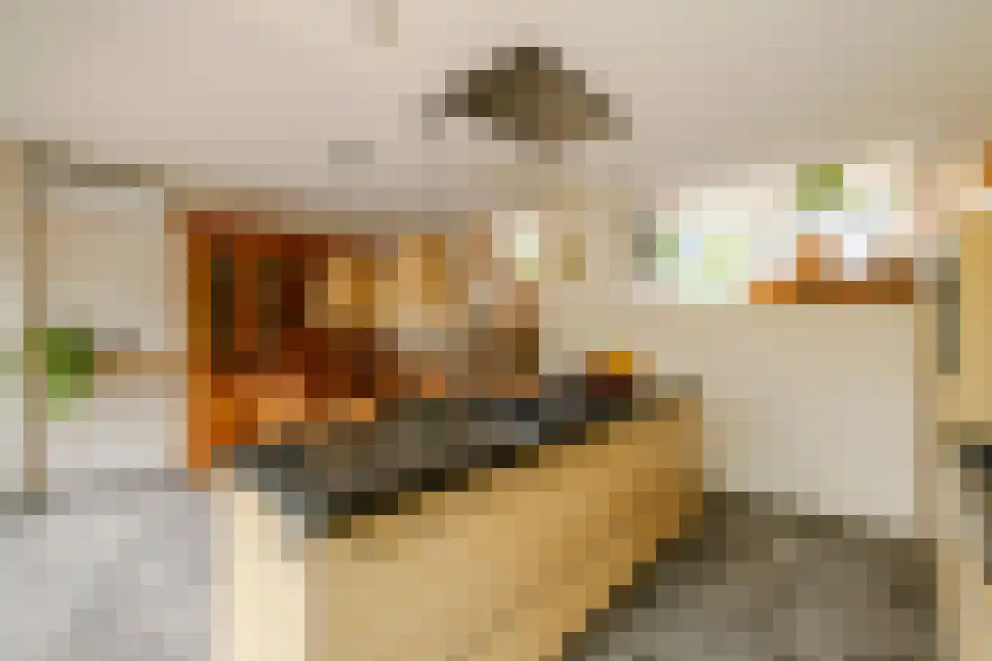 Otto van Reeslaan 10 Haarlem thumbnail 16