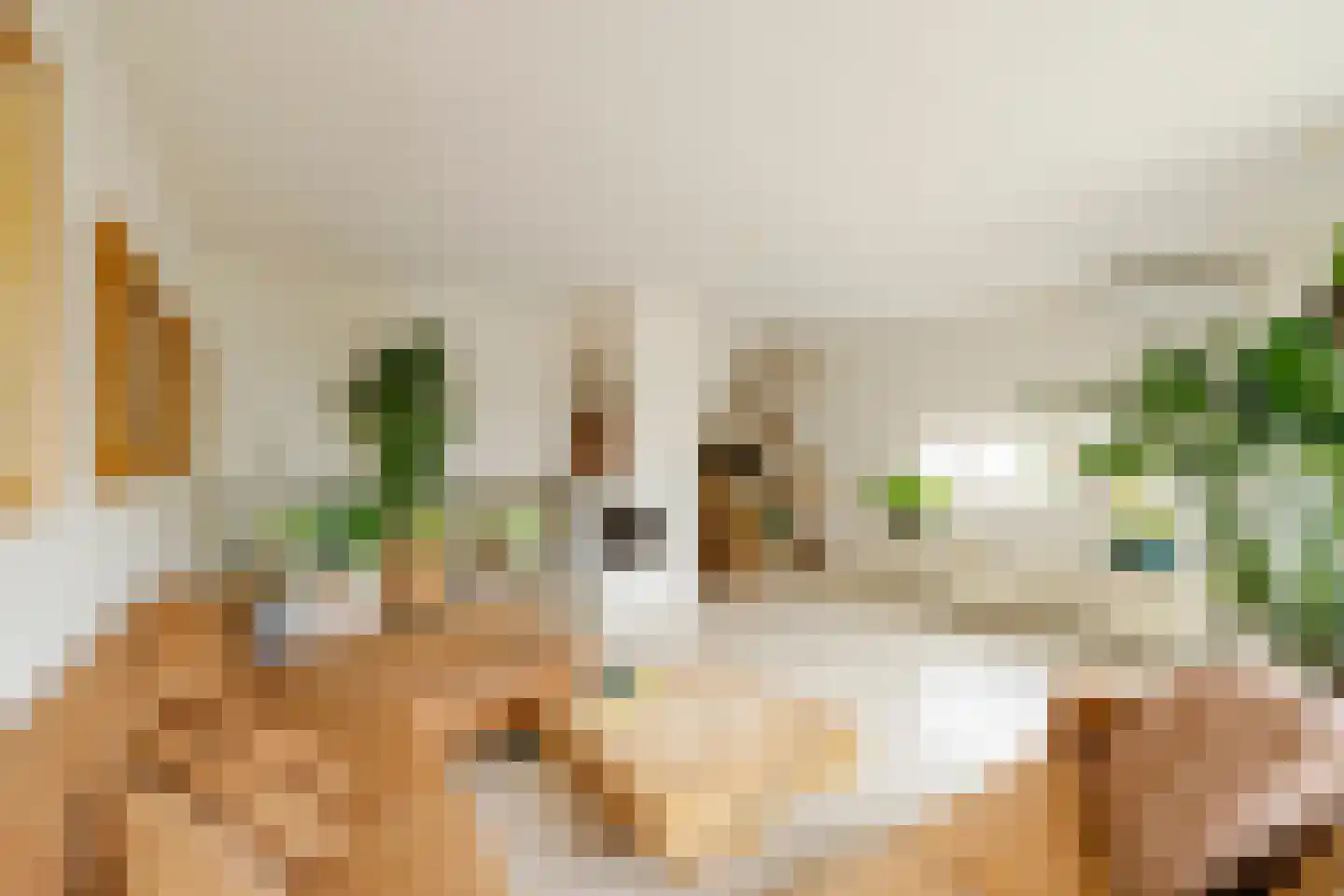 Otto van Reeslaan 10 Haarlem thumbnail 19