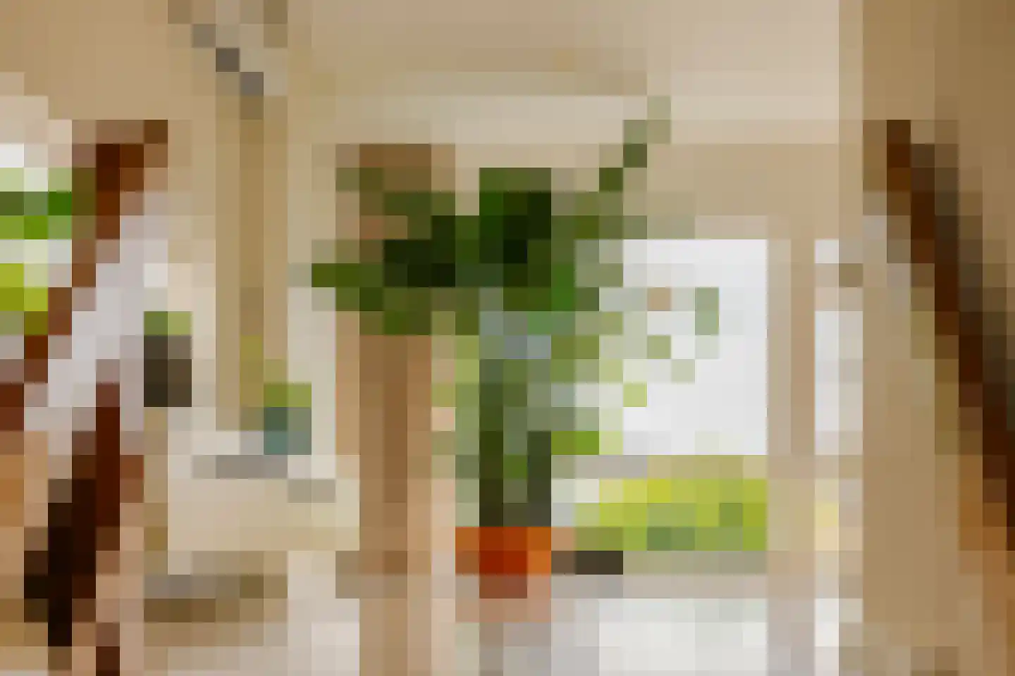 Otto van Reeslaan 10 Haarlem thumbnail 25