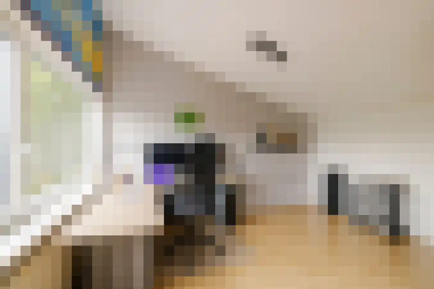Otto van Reeslaan 10 Haarlem thumbnail 33