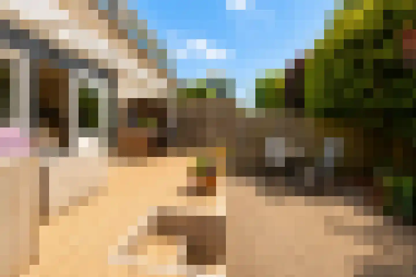 Otto van Reeslaan 10 Haarlem thumbnail 34