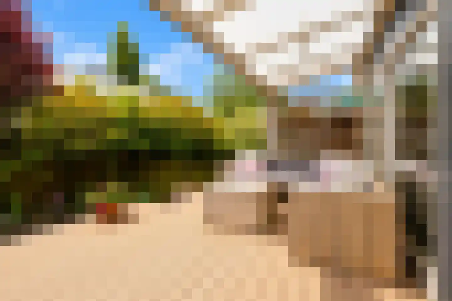 Otto van Reeslaan 10 Haarlem thumbnail 36