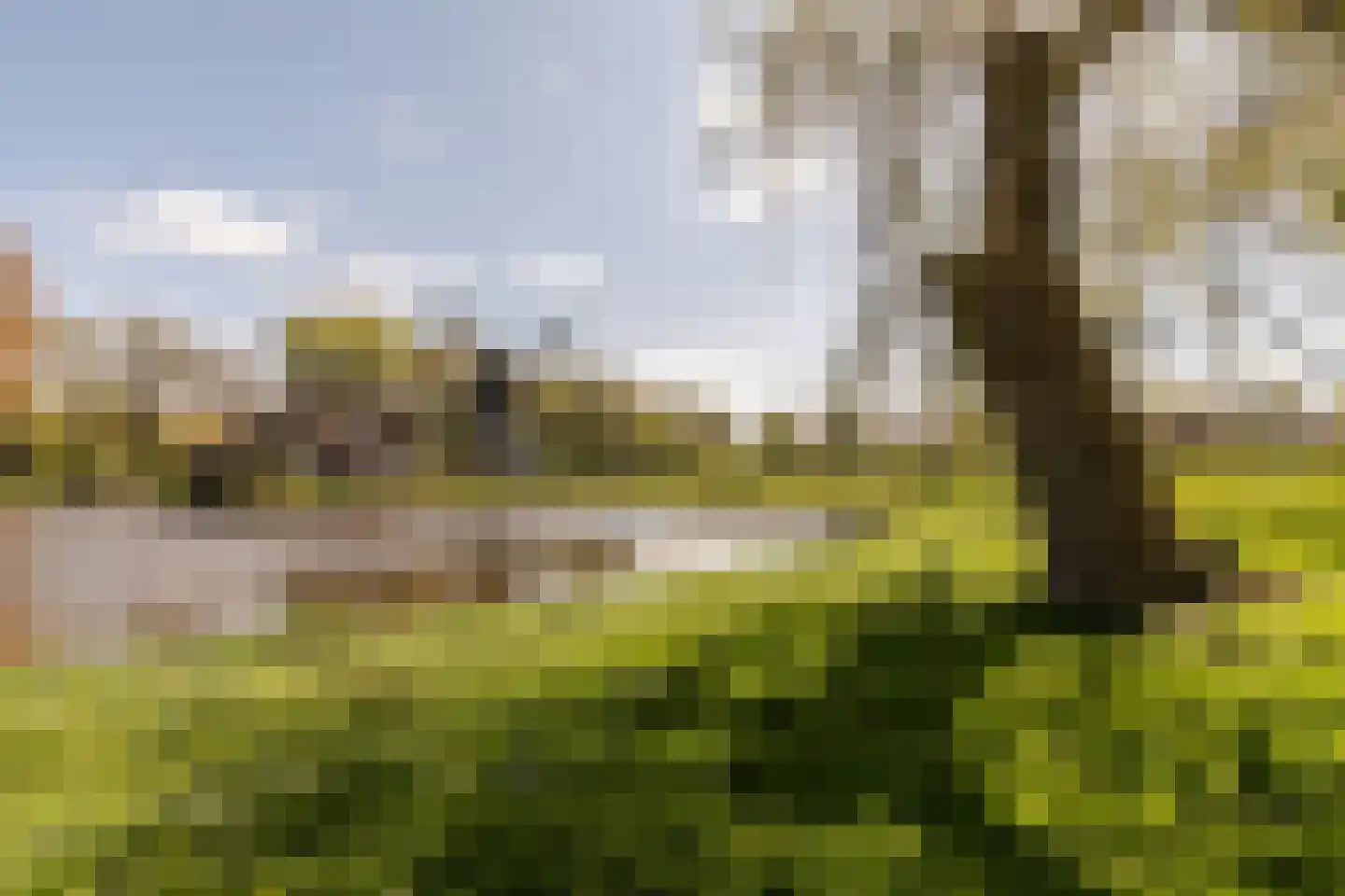 Otto van Reeslaan 10 Haarlem thumbnail 40