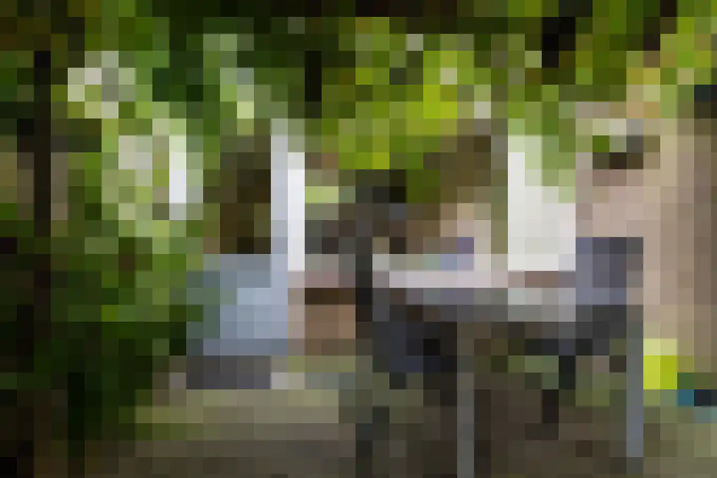 Otto van Reesweg 29 Culemborg thumbnail 33