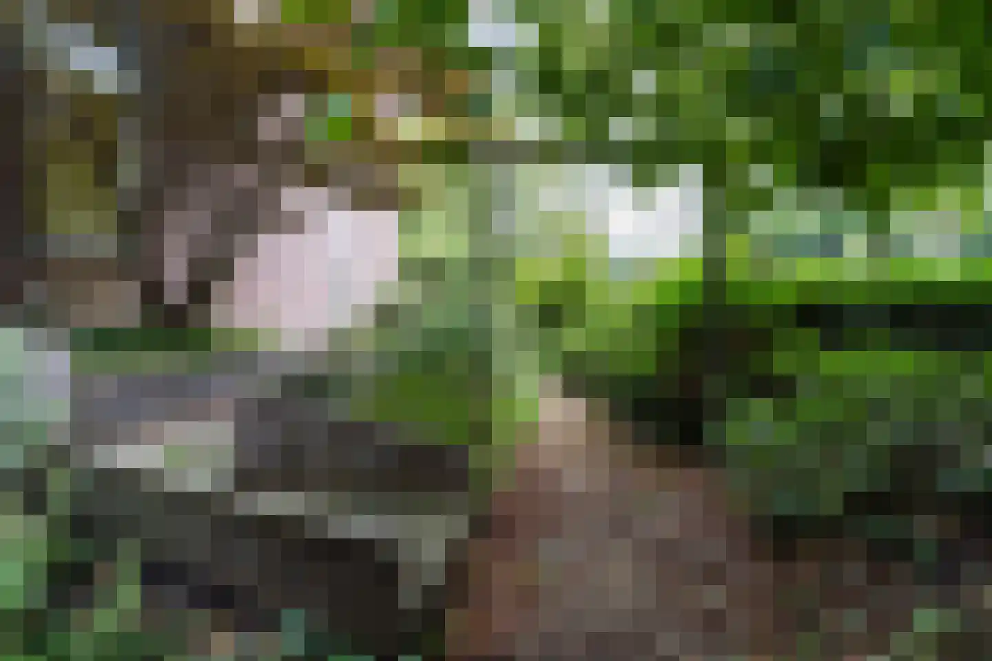 Otto van Reesweg 29 Culemborg thumbnail 34