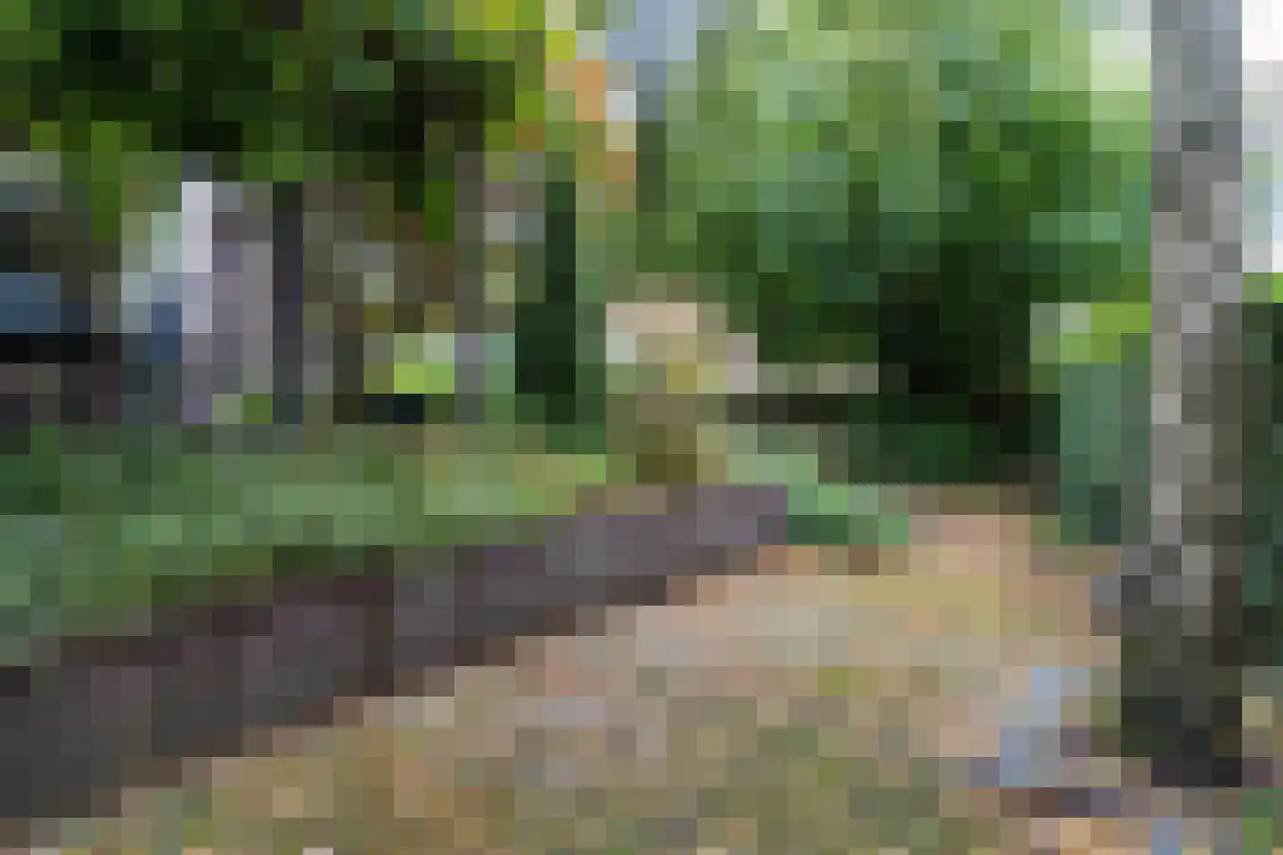 Otto van Reesweg 29 Culemborg thumbnail 35