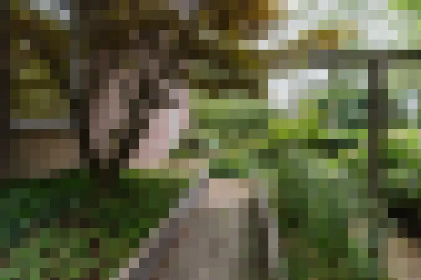 Otto van Reesweg 29 Culemborg thumbnail 36