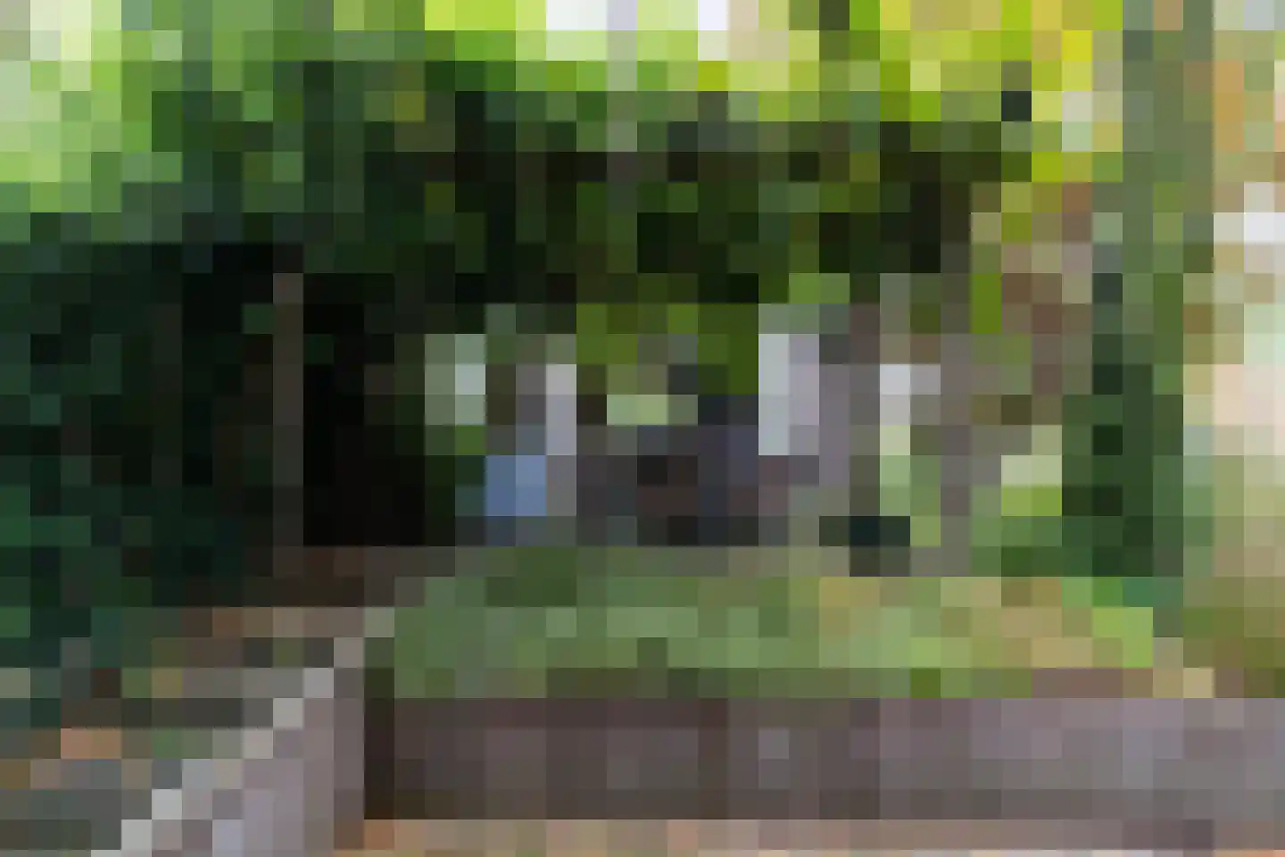 Otto van Reesweg 29 Culemborg thumbnail 4