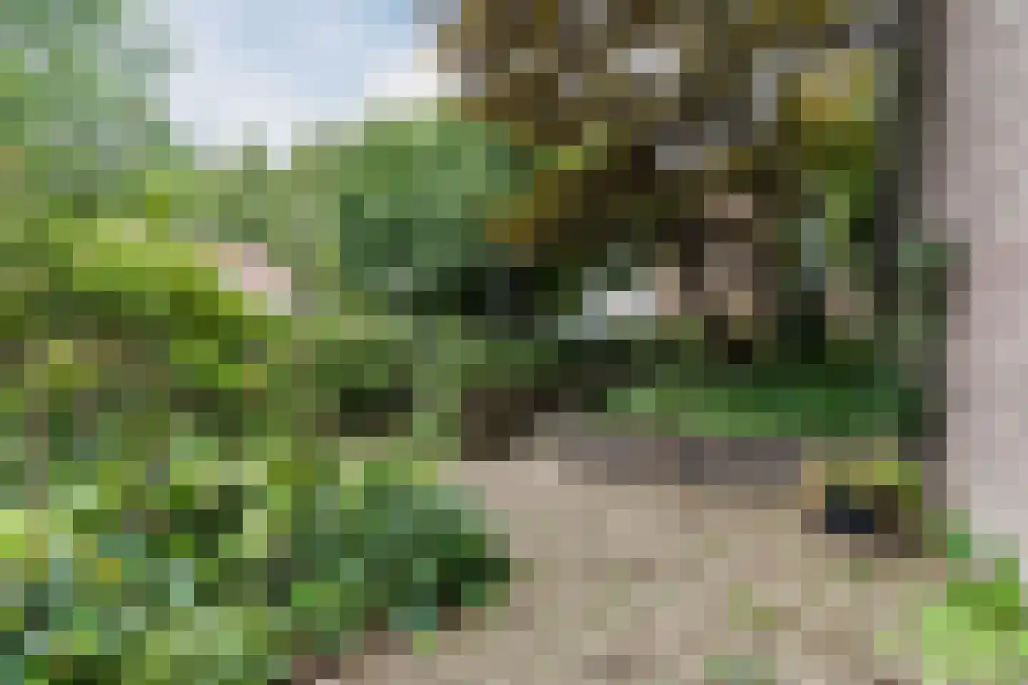 Otto van Reesweg 29 Culemborg thumbnail 5