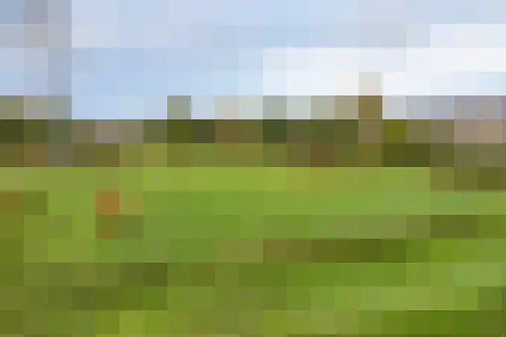 Otto van Taverenstraat 40 Enschede thumbnail 29