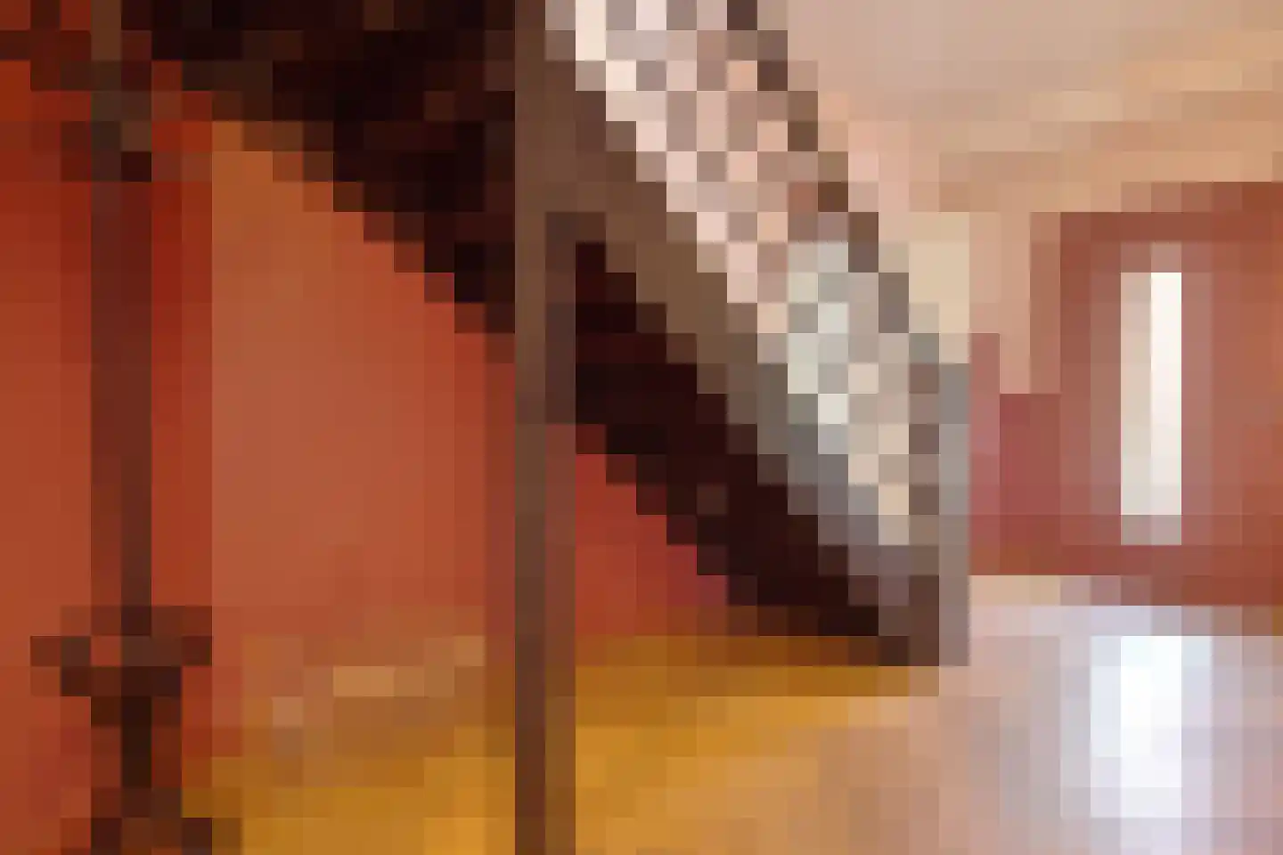 Otto Veniusweg 1 Eindhoven thumbnail 11