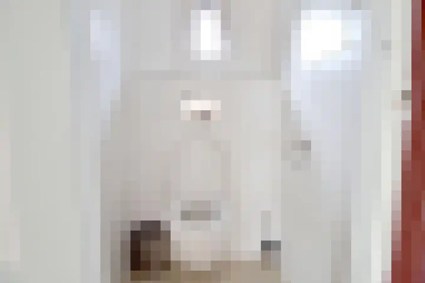 Otto Veniusweg 1 Eindhoven thumbnail 13