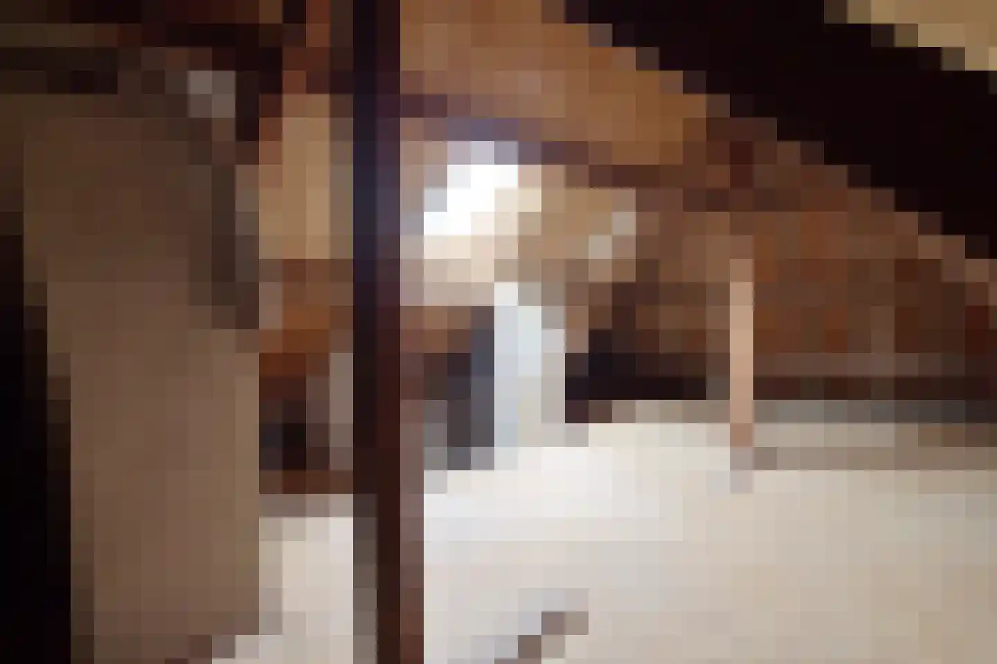 Otto Veniusweg 1 Eindhoven thumbnail 30