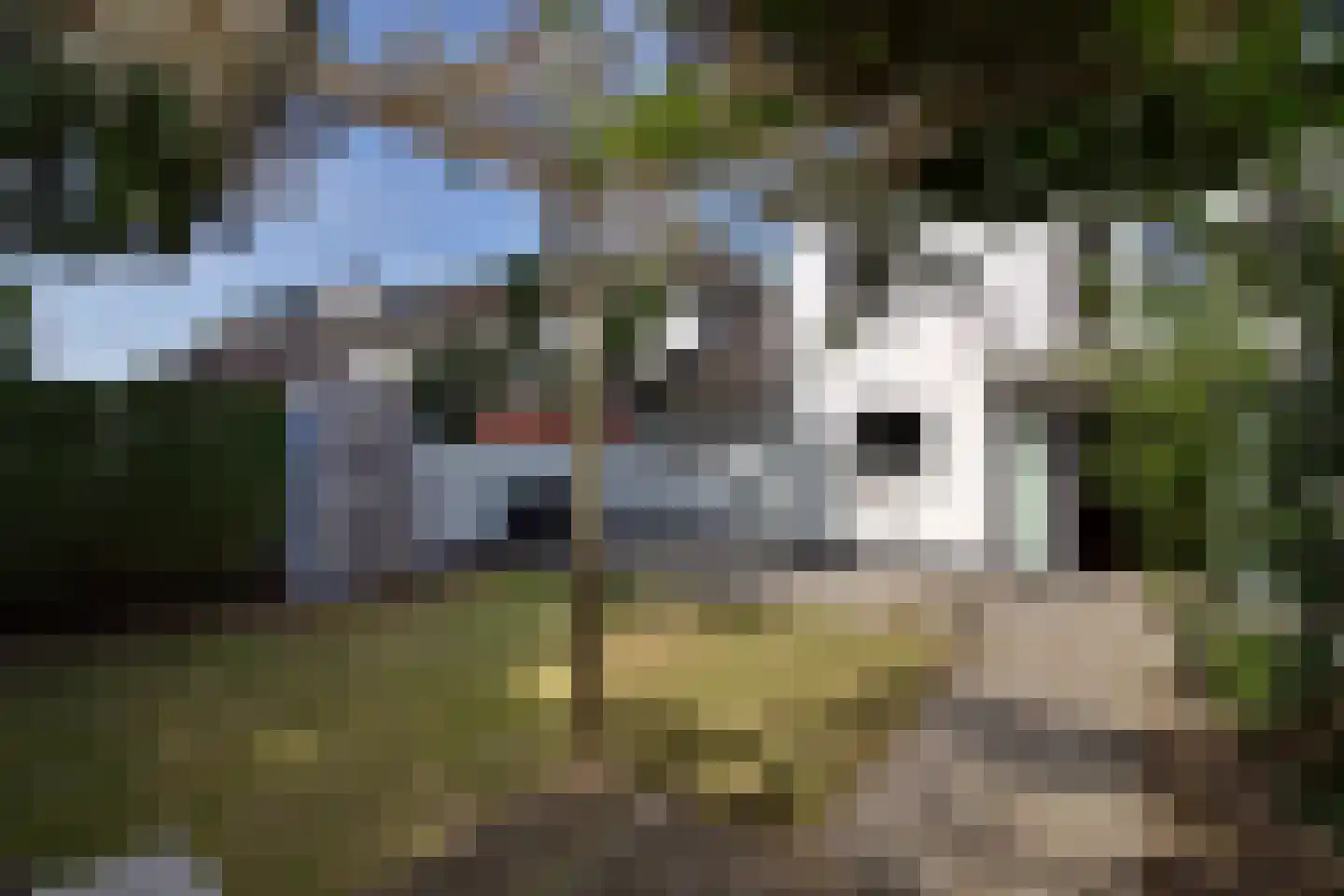 Otto Veniusweg 1 Eindhoven thumbnail 33