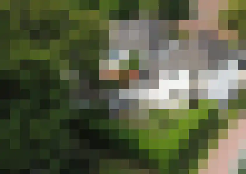 Otto Veniusweg 1 Eindhoven thumbnail 35