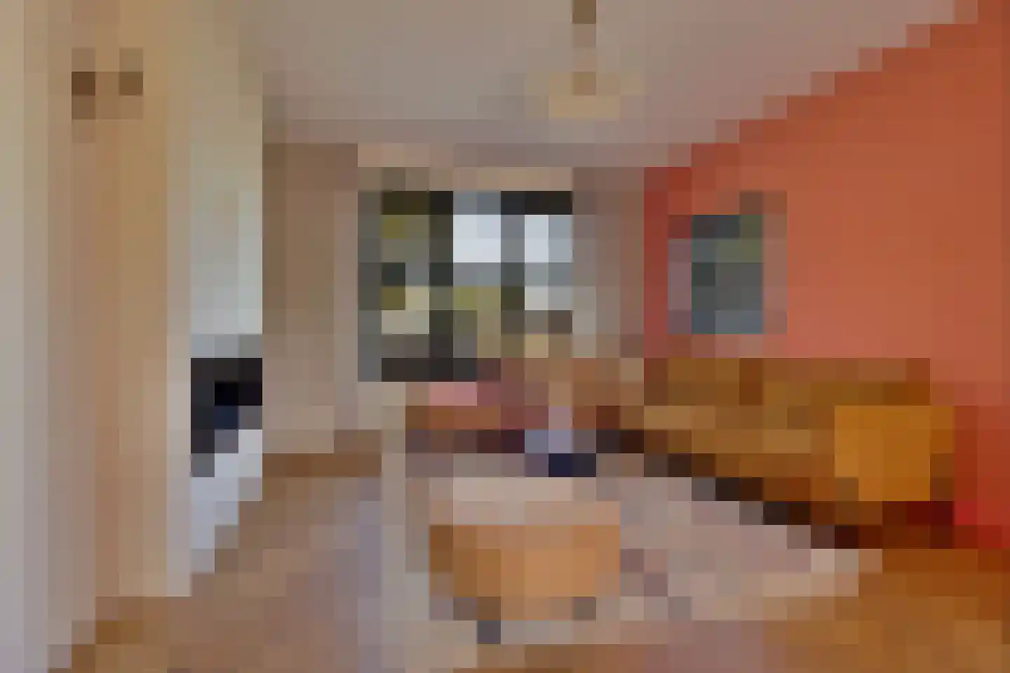 Otto Veniusweg 1 Eindhoven thumbnail 6