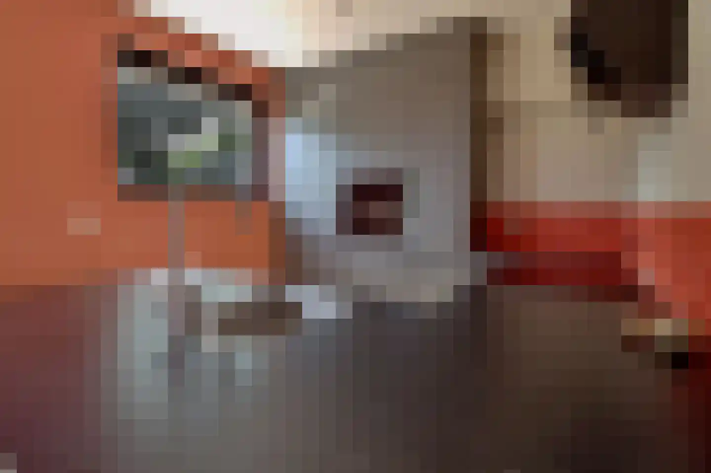 Otto Veniusweg 1 Eindhoven thumbnail 9